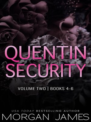 cover image of Quentin Security Series Box Set 2